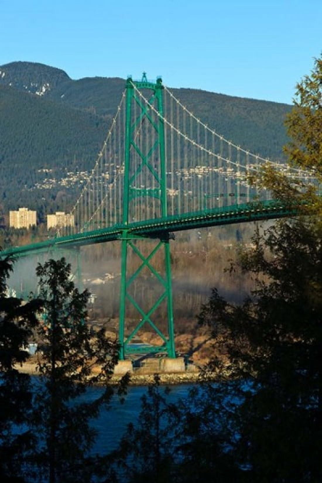 British Columbia Vancouver Lions Gate Bridge Canvas Art - Rick A Brown DanitaDelimont (19 x 29)