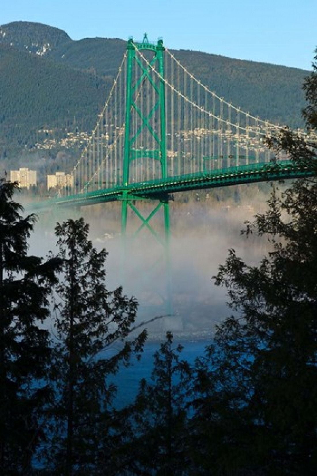 British Columbia Vancouver Lions Gate Bridge over Fog Canvas Art - Rick A Brown DanitaDelimont (19 x 29)