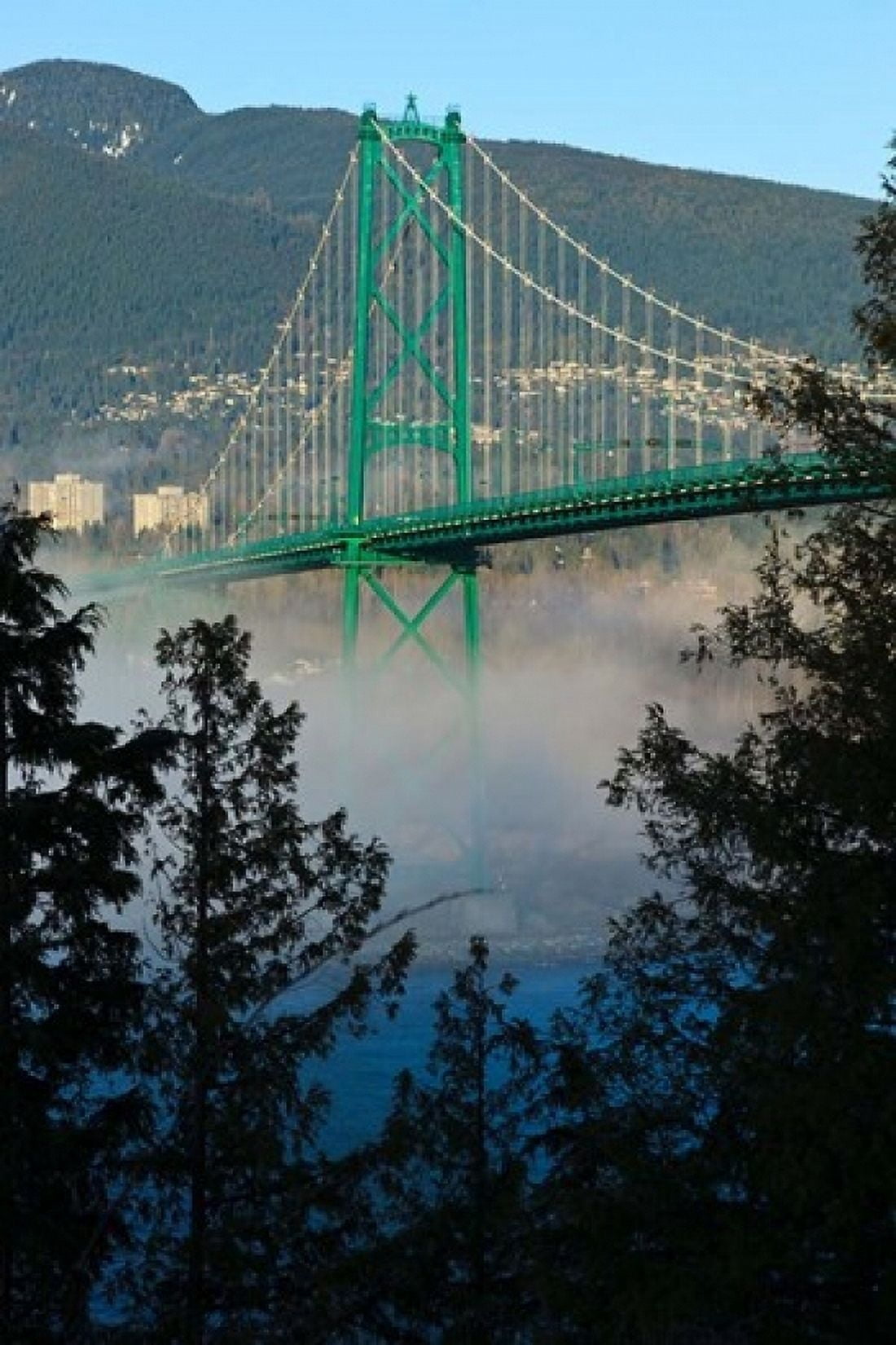 British Columbia Vancouver Lions Gate Bridge over Fog Canvas Art - Rick A Brown DanitaDelimont (24 x 36)