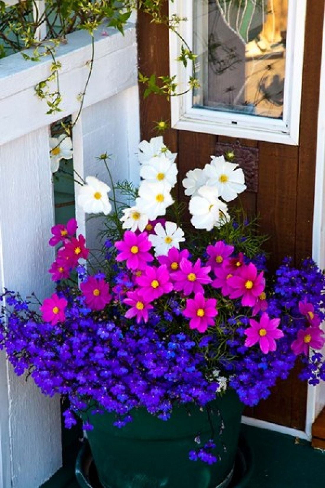 British Columbia Victoria Flower Pot Canvas Art - Terry Eggers DanitaDelimont (19 x 29)