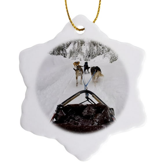 3drose, British Columbia, Whistler, Dog Sled Adventure-cn02 Tdr0076 - Trish Drury, 3 inch Snowflake Porcelain Ornament