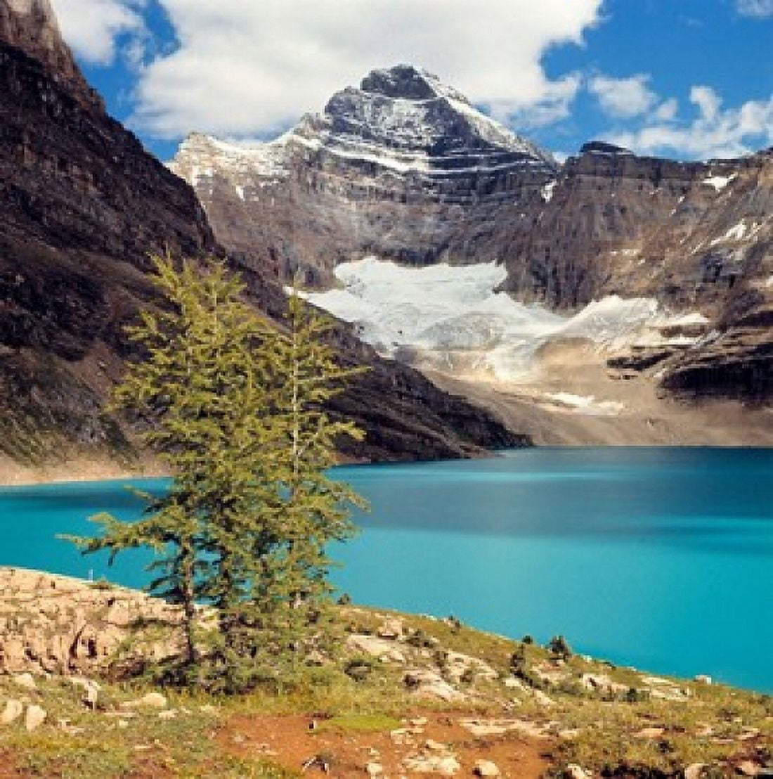 British Columbia Yoho NP Lake McArthur Canvas Art - Ric Ergenbright DanitaDelimont (23 x 23)