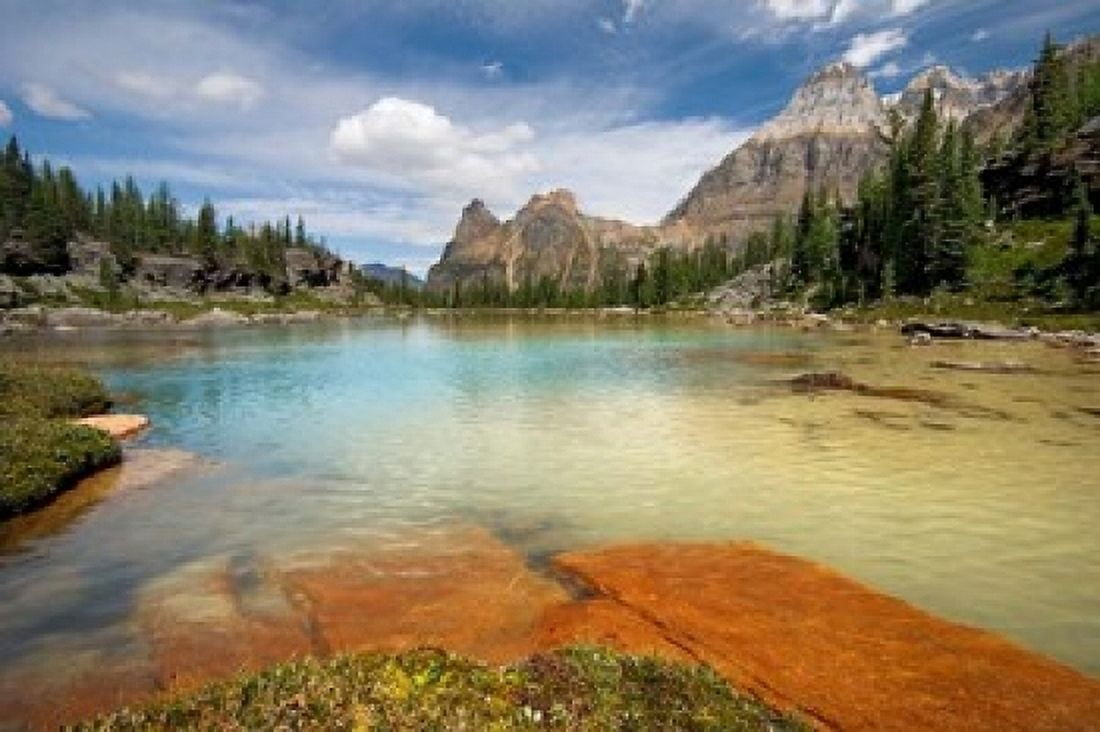 British Columbia Yoho NP Opabin Terrace Pools Canvas Art - Jaynes Gallery DanitaDelimont (36 x 24)