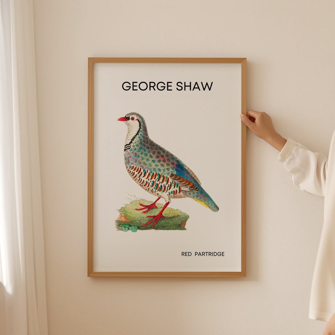 British Garden Birds Farmhouse Nursery Wall Art Prints, Vintage ...