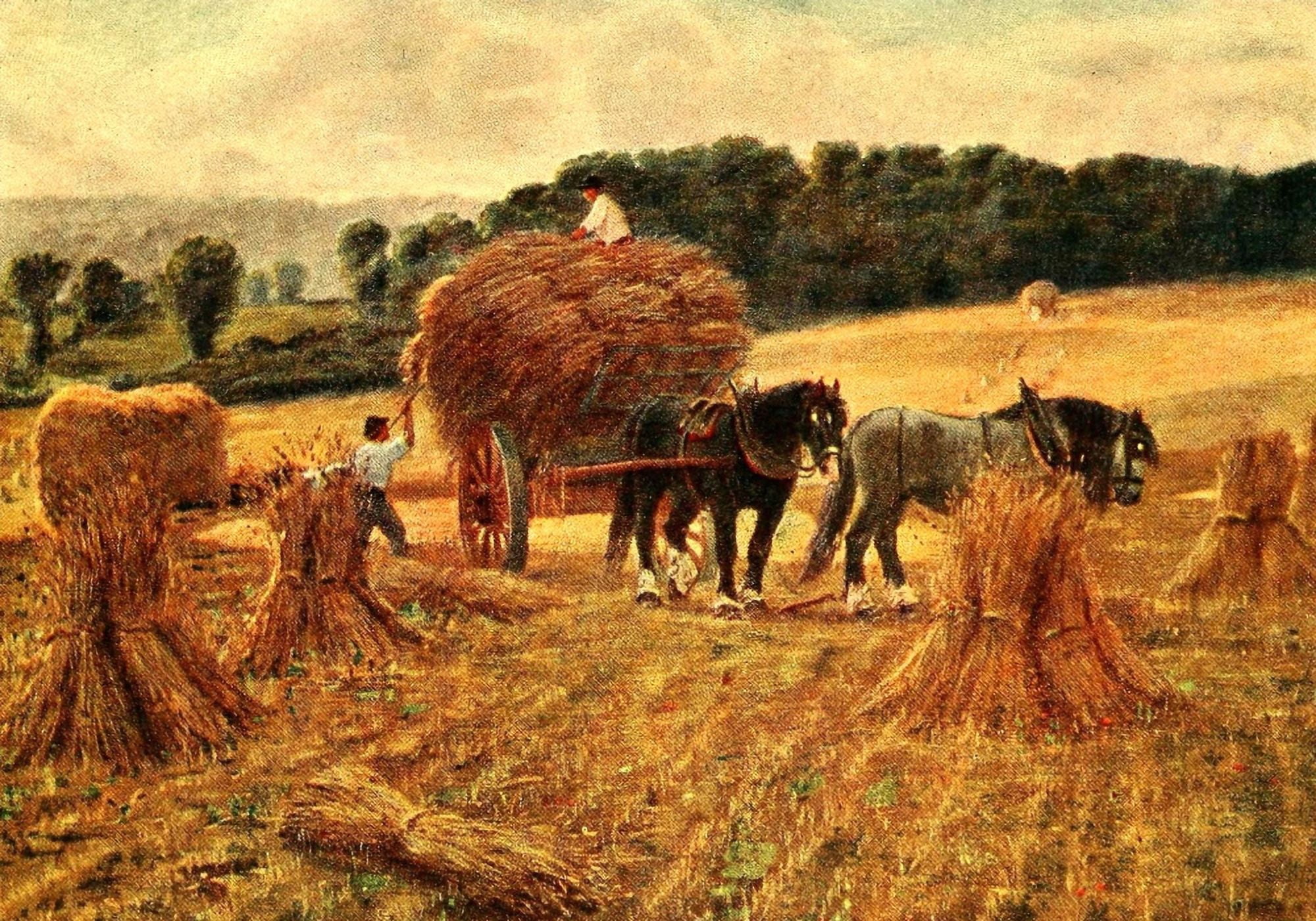 British Highways & Byways 1908 Harvesting in Hertfordshire Canvas Art - Alfred Elias (24 x 36)