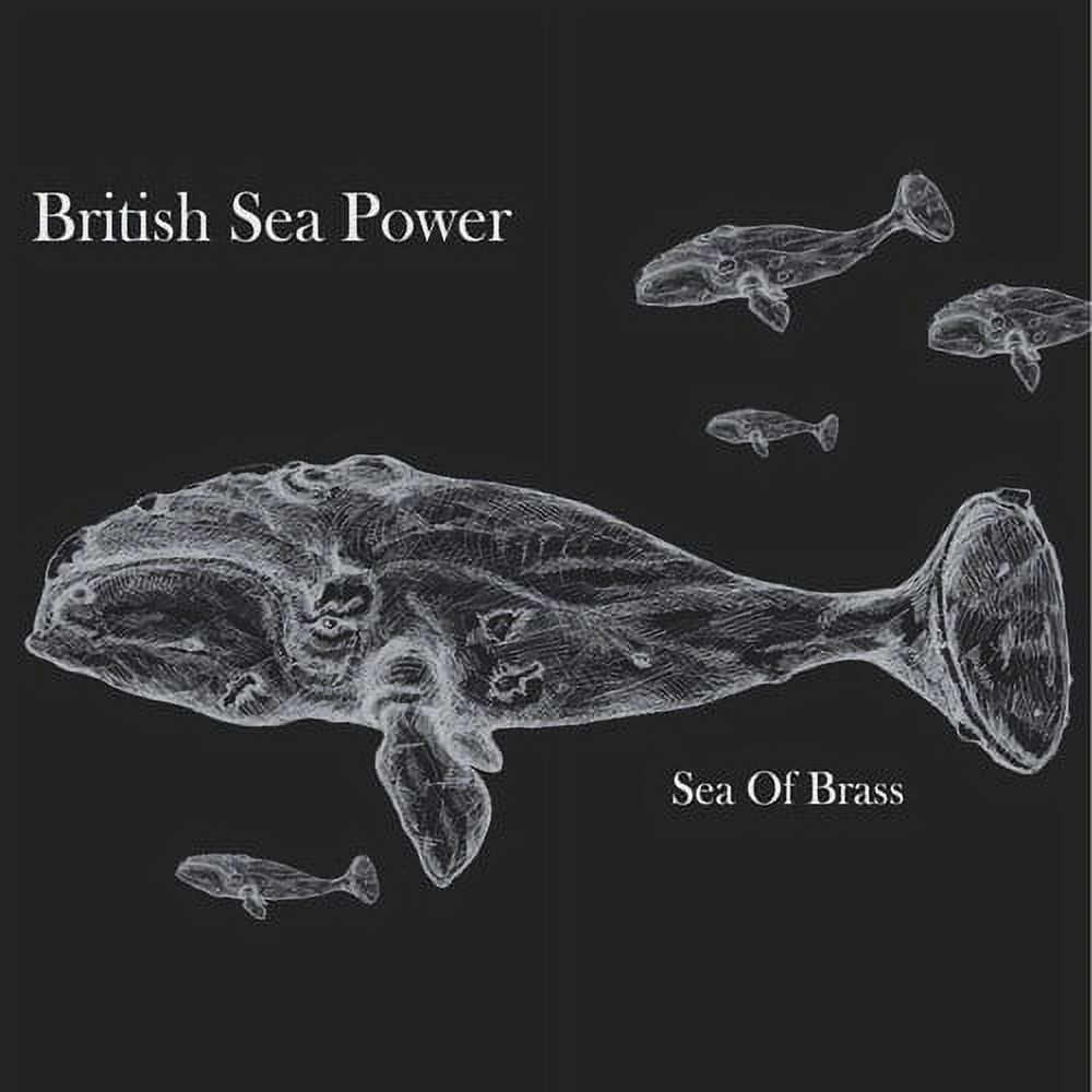British Sea Power - Sea of Brass - Music & Performance - Vinyl