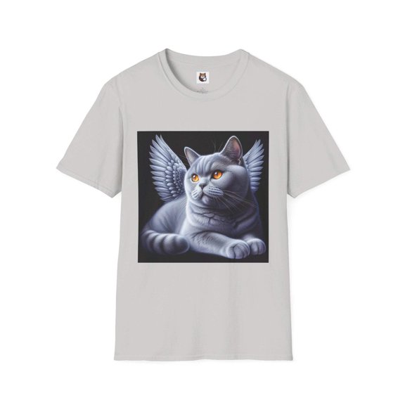 British Shorthair Domestic Cat