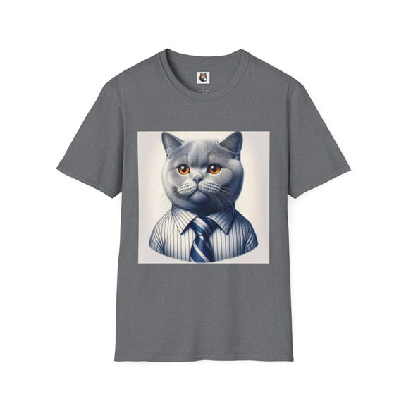 British Shorthair Domestic Cat