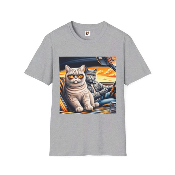 British Shorthair Domestic Cat