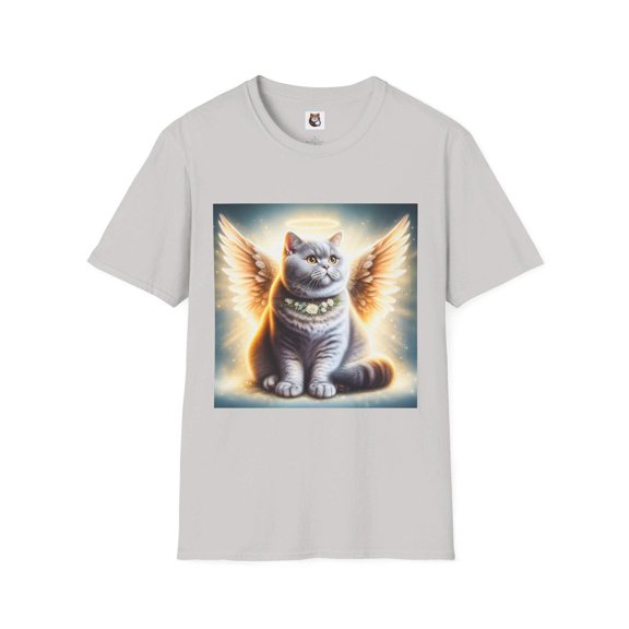 British Shorthair Domestic Cat