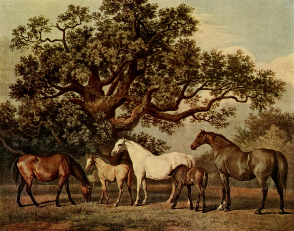 British Sporting Artists 1922 Brood Mares and Foals Canvas Art - George Stubbs (24 x 36)