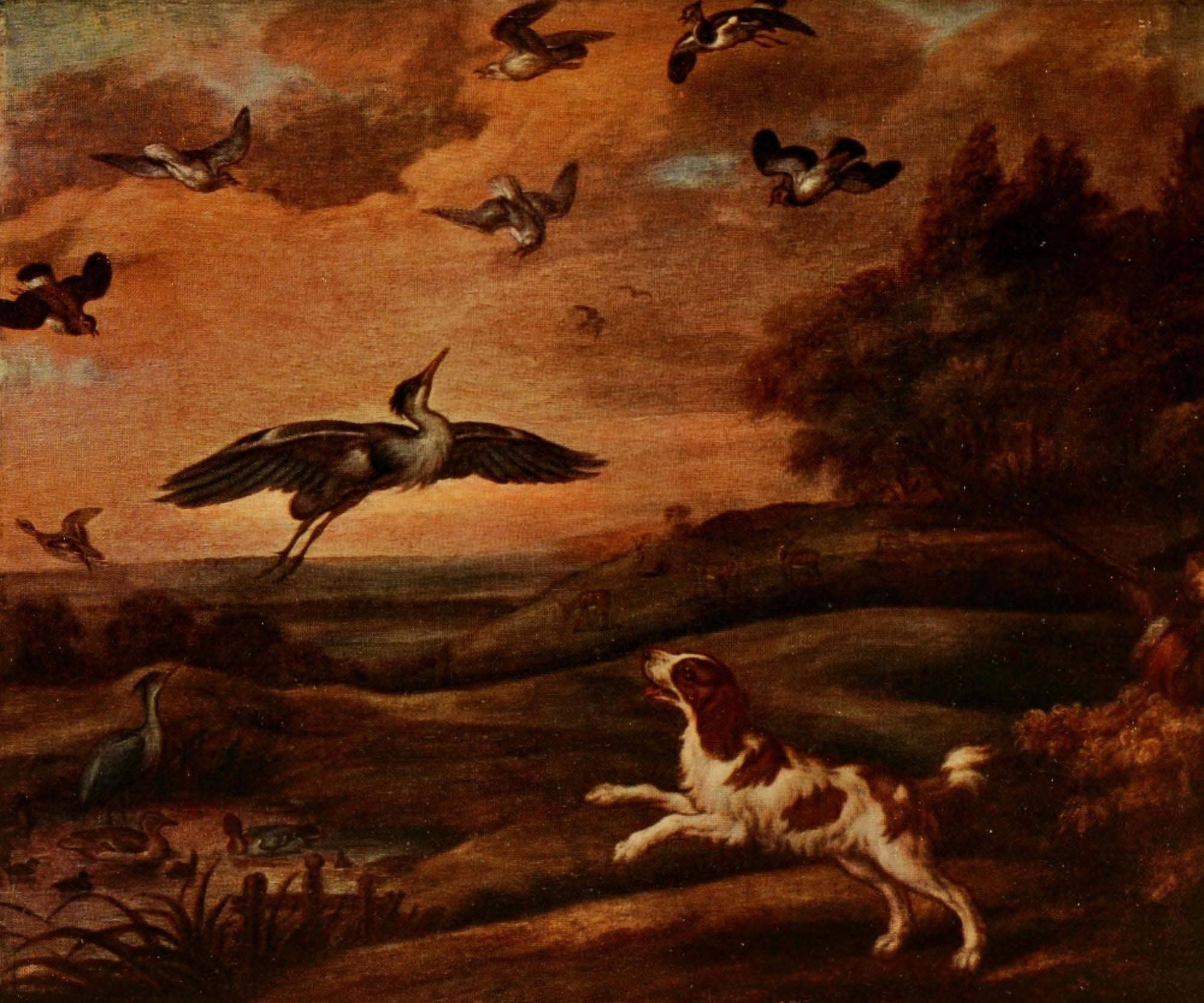 British Sporting Artists 1922 Shooting plover Canvas Art - Francis Barlow (18 x 24)