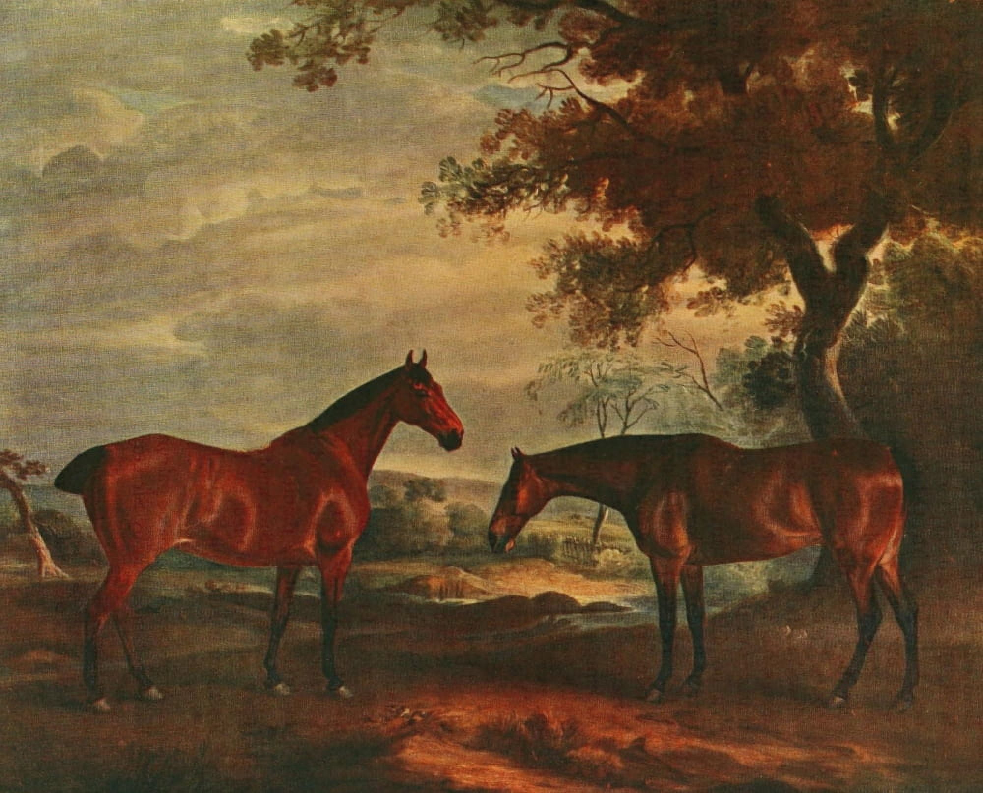 British Sporting Artists 1922 Yorkshire Hunters at Grass Canvas Art - Unknown (24 x 36)