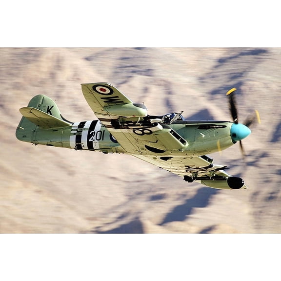 British WWII Fairey Firefly Aircraft - 20x30 Inch Laminated Aviation Poster - Stunning Detail and Bold Colors