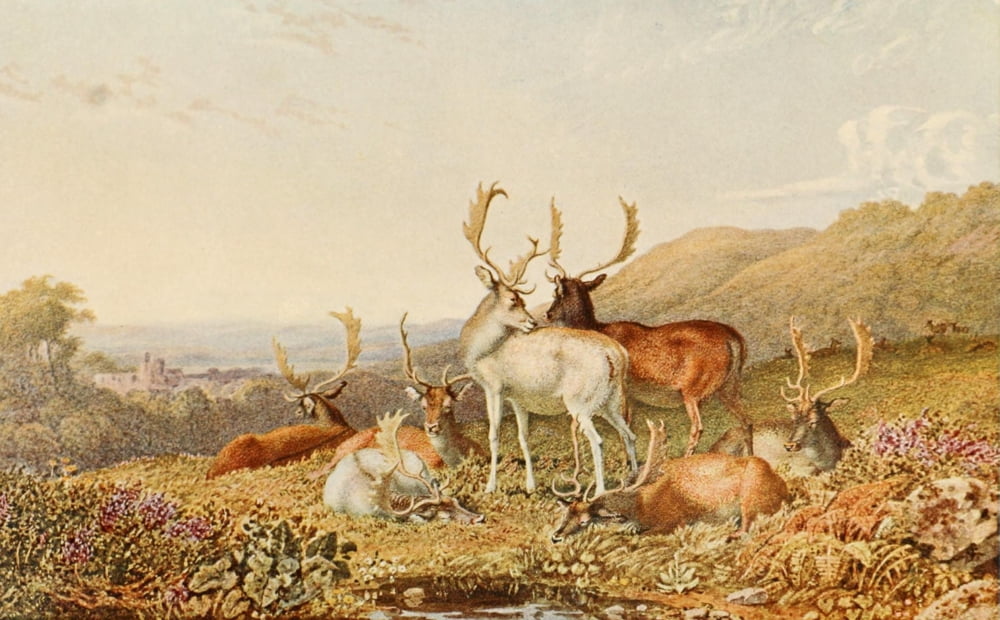 British Watercolour Painting 1908 Deer in a landscape Canvas Art - George Barret (18 x 24)
