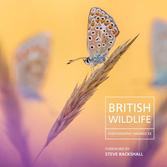 British Wildlife Photography Awards 12 (Hardcover)