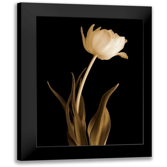 Britt, Charles 12x14 Black Modern Framed Museum Art Print Titled - Classic Beauty