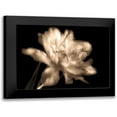 thumbnail image 1 of Britt, Charles 14x12 Black Modern Framed Museum Art Print Titled - Double Dappled II, 1 of 5