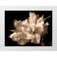 thumbnail image 1 of Britt, Charles 18x15 White Modern Wood Framed Museum Art Print Titled - Double Dappled I, 1 of 4