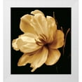 thumbnail image 1 of Britt, Charles 20x22 White Modern Wood Framed Museum Art Print Titled - Timeless Grace III, 1 of 4