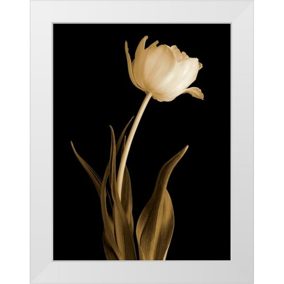 Britt, Charles 25x32 White Modern Wood Framed Museum Art Print Titled - Classic Beauty