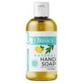 thumbnail image 1 of Brittanies Thyme HG2805042 4 fl oz Basics Lemon Sage Hand Soap, 1 of 3
