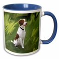 thumbnail image 1 of 3drose, Brittany, 11oz Two-tone Blue Mug, 1 of 6