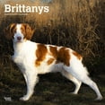 thumbnail image 1 of Brittanys 2024 Square (Other), 1 of 8