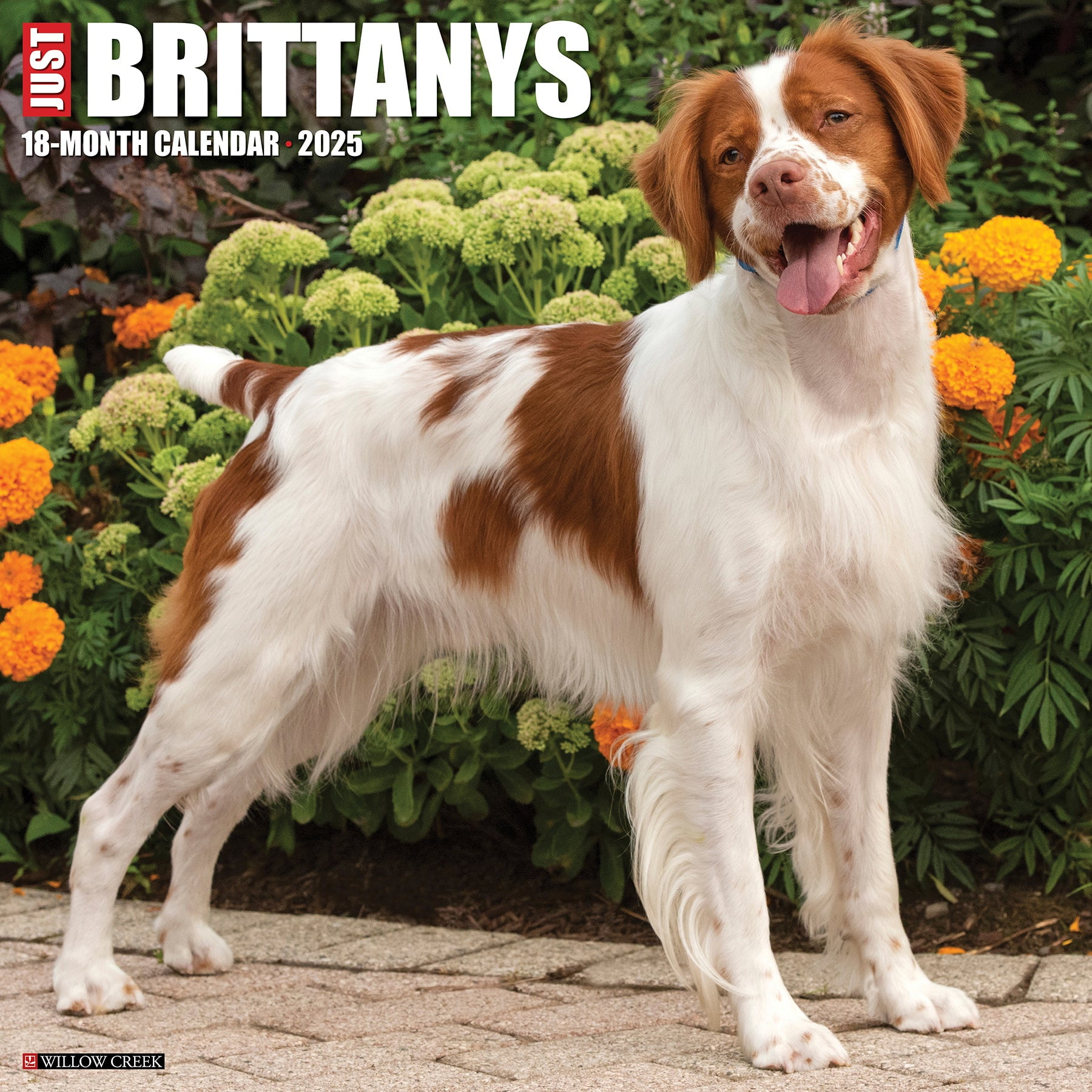 Brittanys 2025 Wall Calendar
