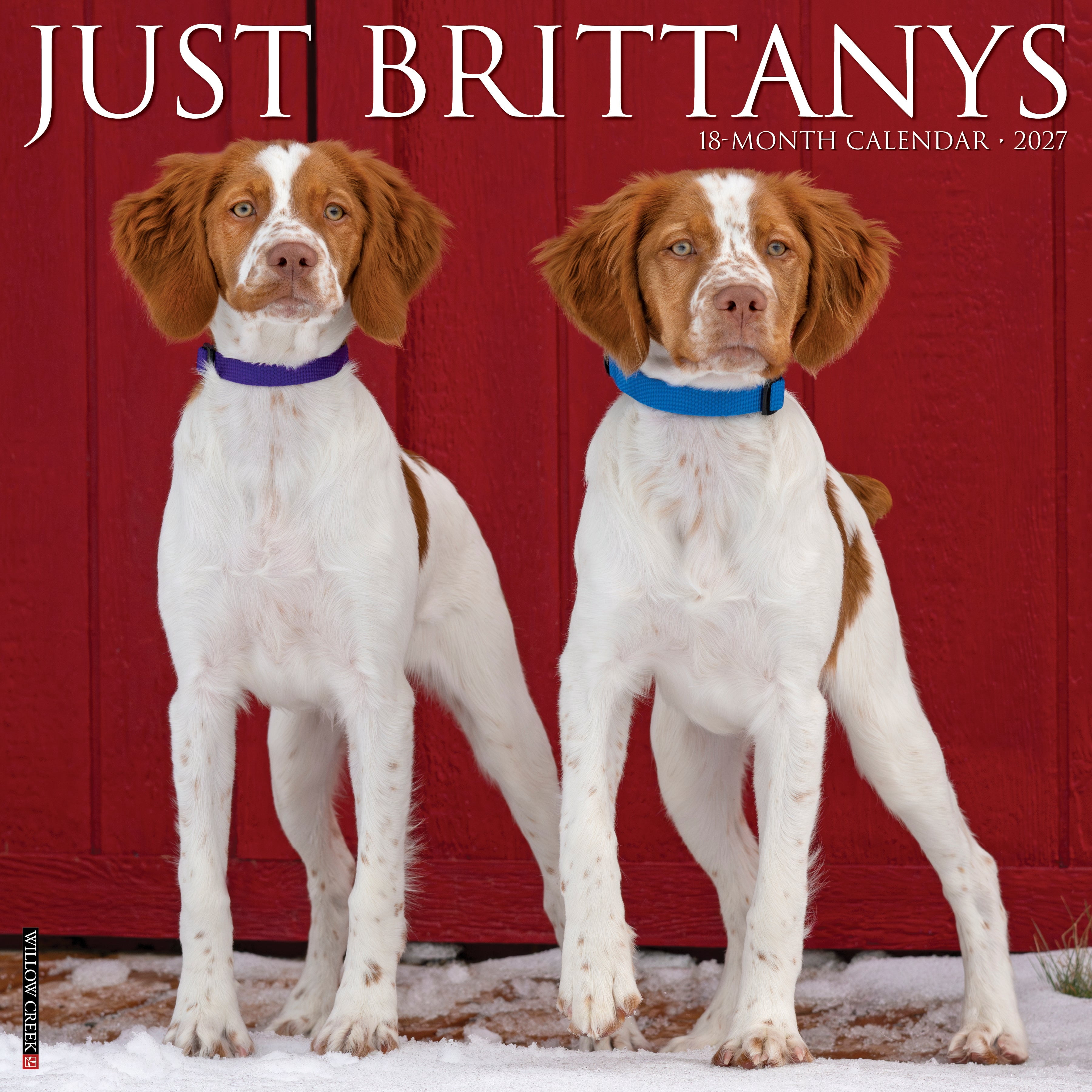 Willow Creek Press, Brittanys 2027 Wall Calendar