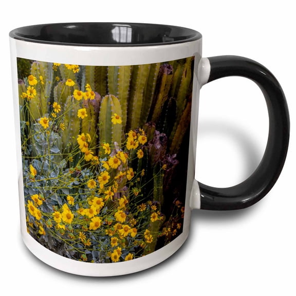3drose, Brittlebush Wildflower and Organ Pipe Cactus, Phoenix, Arizona, 11oz Two-tone Black Mug
