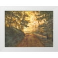 thumbnail image 1 of Britton, Pam 18x15 White Modern Wood Framed Museum Art Print Titled - Golden Forest, 1 of 4