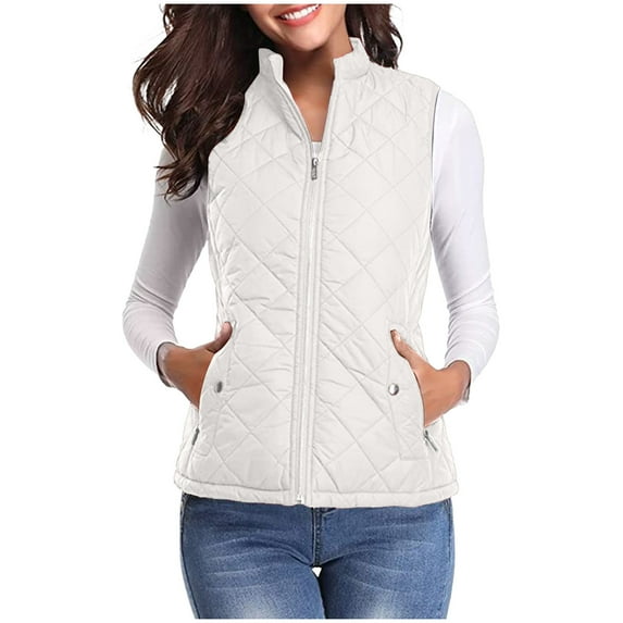 Brnmxoke Women's Fleece Vest Polar Soft Sleeveless Classic Fit Quilted Coat Lightweight Winter Crop Puffer Vest Warm Zip Up Stand Collar Padded Gilet with Pockets