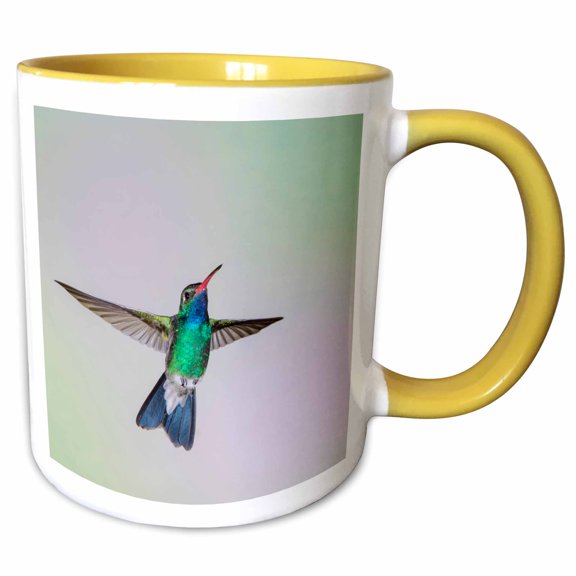 3drose, Broad-billed Hummingbird, Male Hovering, 15oz Two-tone Yellow Mug