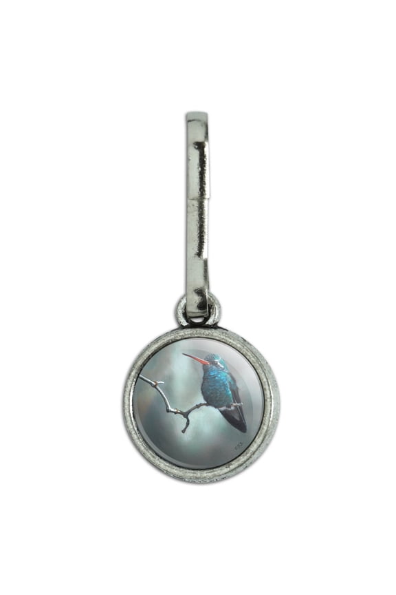 Broad-Billed Hummingbird Resting on Branch Antiqued Charm Clothes Purse Suitcase Backpack Zipper Pull Aid