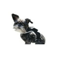 thumbnail image 1 of Broad GPS GSM Coverage Wireless Pet Tracking Collars for Hunting Dogs Size:XL, 1 of 5