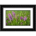 thumbnail image 1 of Broad-leaved Marsh Orchid flowering, Zeeland, Netherlands 2x Matted 24x18 Black Ornate Framed Art Print by Vink, Jan, 1 of 2