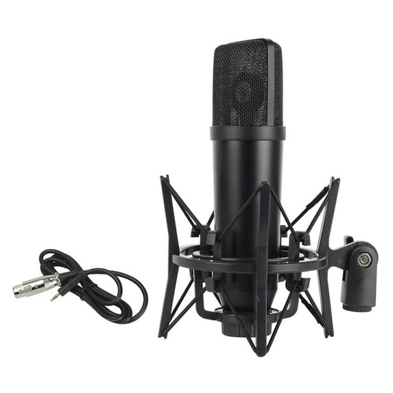 Broadcast Condenser Microphones With XLR Connectivitys And Noise Cancellation Technology