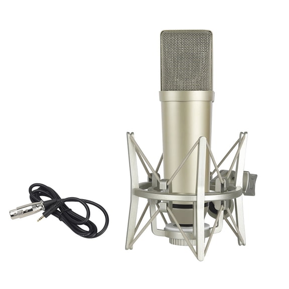 Broadcast-Grade Condenser Microphone With Noise Cancellation & Metal Diaphragm For Clear
