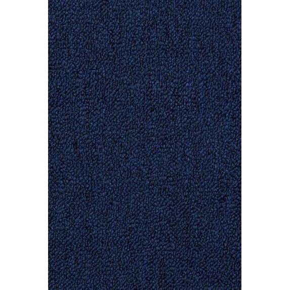 Broadway Collection Pet Friendly Indoor Outdoor Area Rug Navy - 2' x 3'