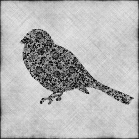 Brocade Bird I Poster Print by Kristin Emery (12 x 12)