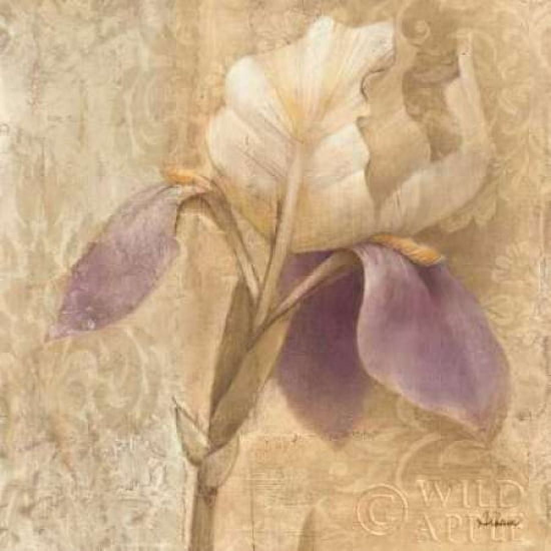 Brocade Iris - Wag Canvas Art - Albena Hristova (24 x 24)