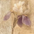thumbnail image 1 of Brocade Iris - Wag Poster Print by Albena Hristova, 1 of 2
