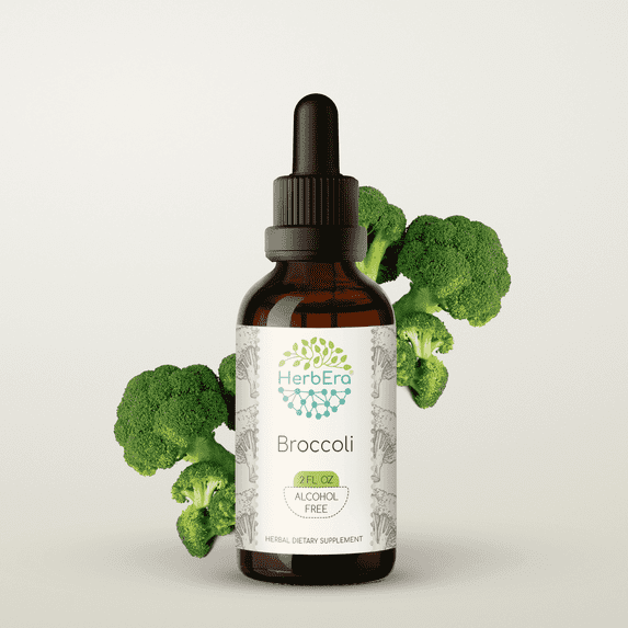 HerbEra Broccoli Tincture, Herbal Dietary Supplement for Cellular Support, Broccoli (Bao Zi Gan Lan, Brassica Oleracea) Dried Sprouting Seed Extract, Natural, Alcohol-Free, Drops 2 oz