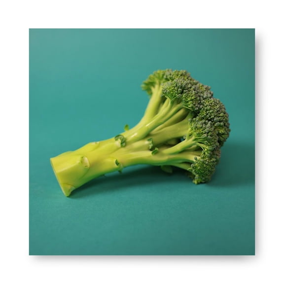 Harris Seeds Gypsy F1 Broccoli, Medium Green Domed Heads for Spring and Fall Harvests, 1,000 Count