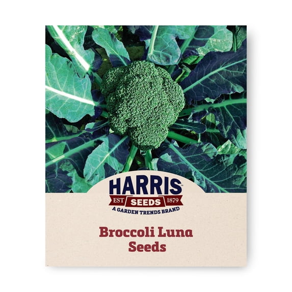 Harris Seeds Luna F1 Broccoli, Dark Blue-Green Crowns, 1,000 Count