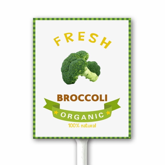 Broccoli Vegetable Garden Signs Metal Yard Sign With Stake Perfect for ...