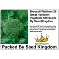 thumbnail image 1 of Broccoli Waltham 29 Great Heirloom Vegetable 500 Seeds By Seed Kingdom, 1 of 1