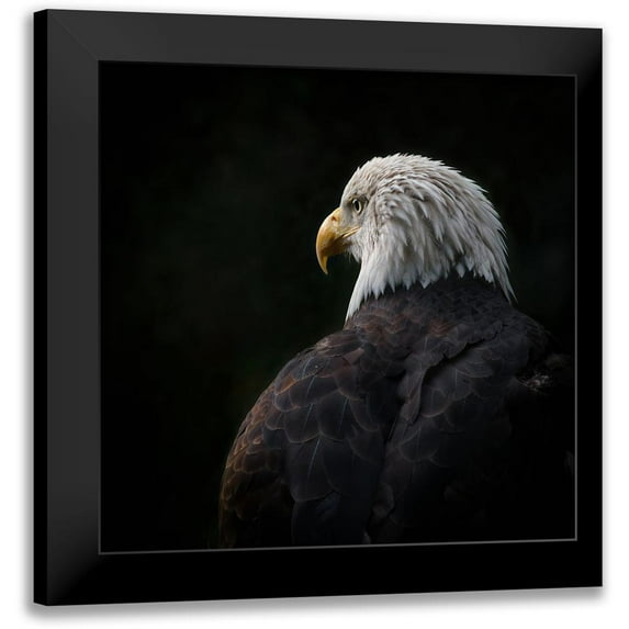 Brockamp, Rick 12x12 Black Modern Framed Museum Art Print Titled - Eagle ... Compassion