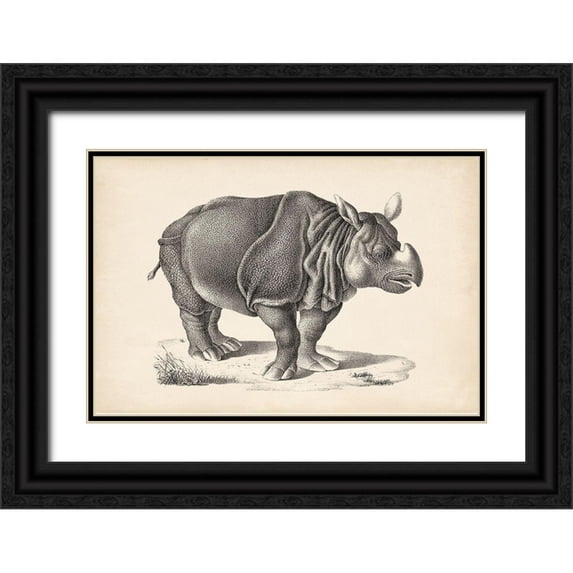 Brodtmann 24x17 Black Ornate Wood Framed with Double Matting Museum Art Print Titled - Brodtmann Rhinoceros